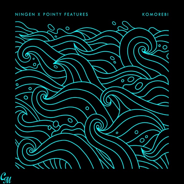 Pointy Features Album Cover
